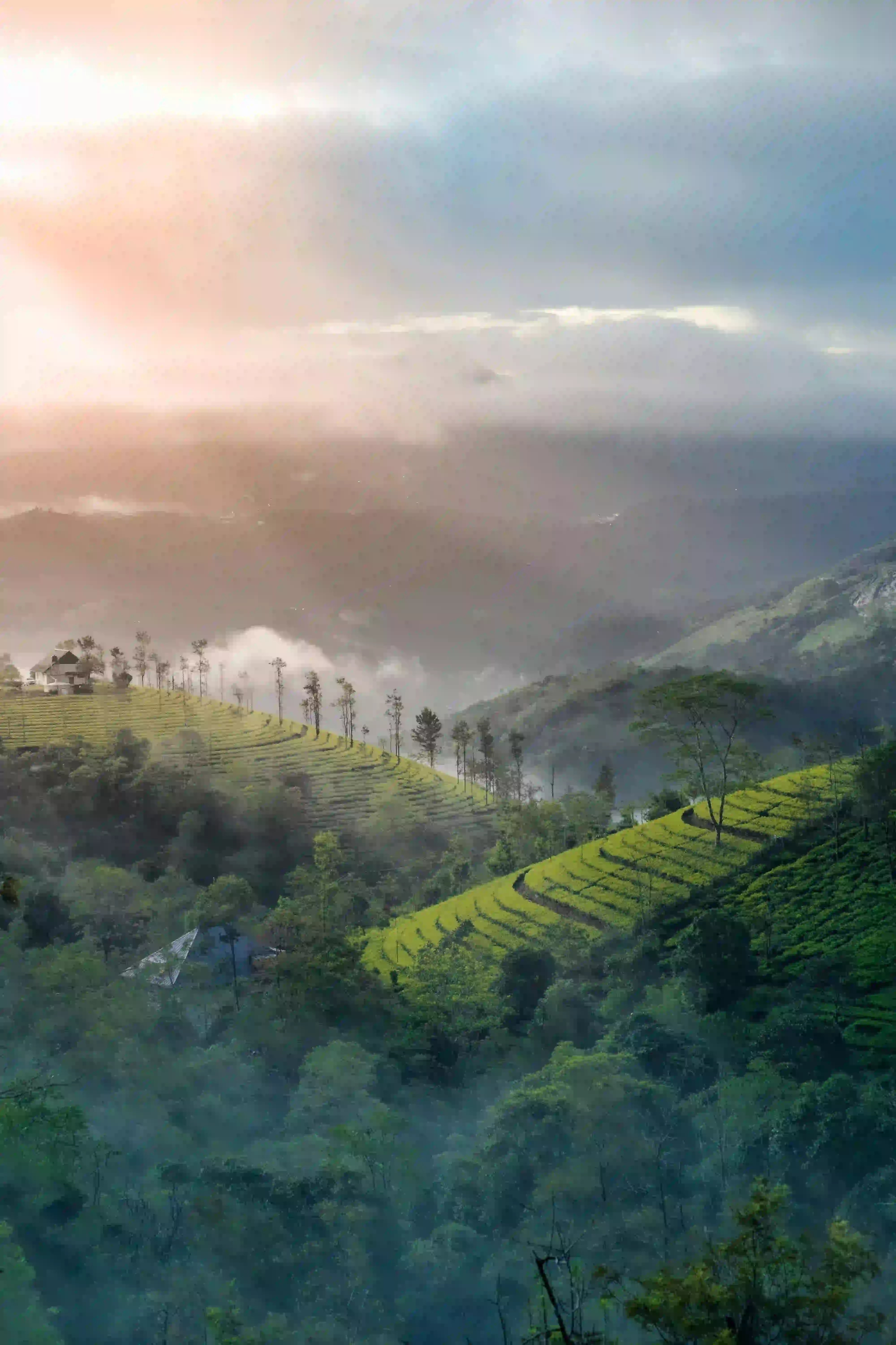 Kerala
